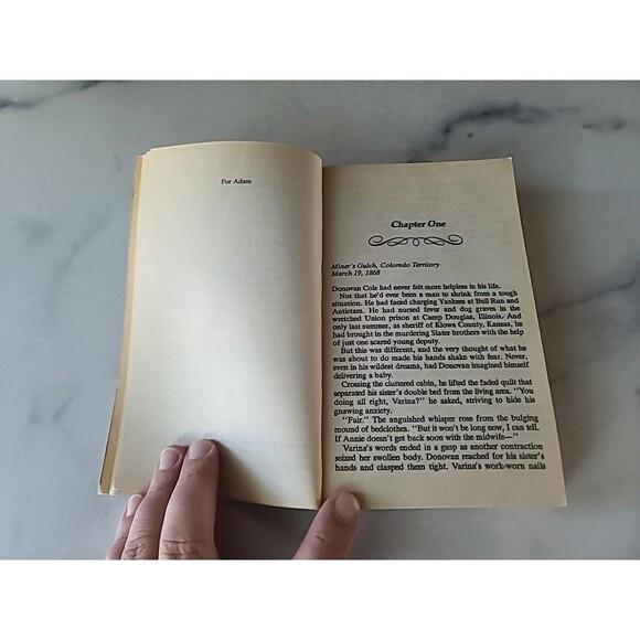 Lydia By Elizabeth Lane Paperback - Picture 5 of 10